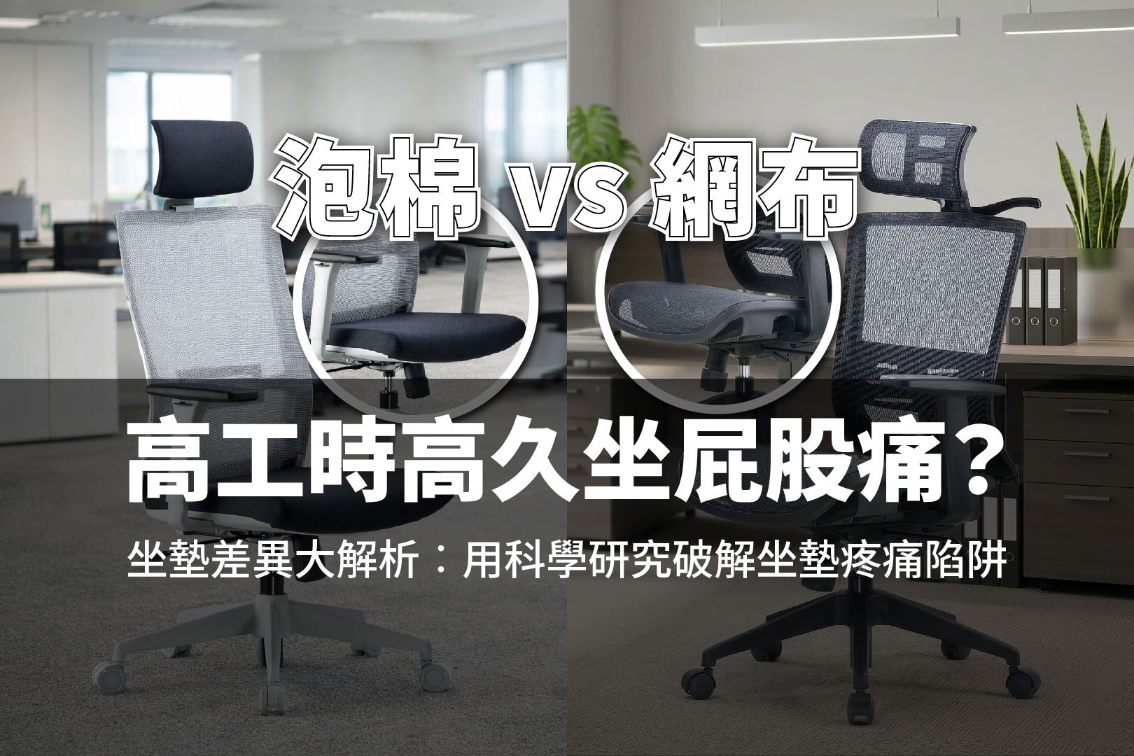 人體工學椅網布坐墊與泡棉坐墊比較,白色全網布人體工學椅與黑色網布背泡棉坐墊辦公椅,展示兩種不同坐墊設計在現代辦公室環境中的差異