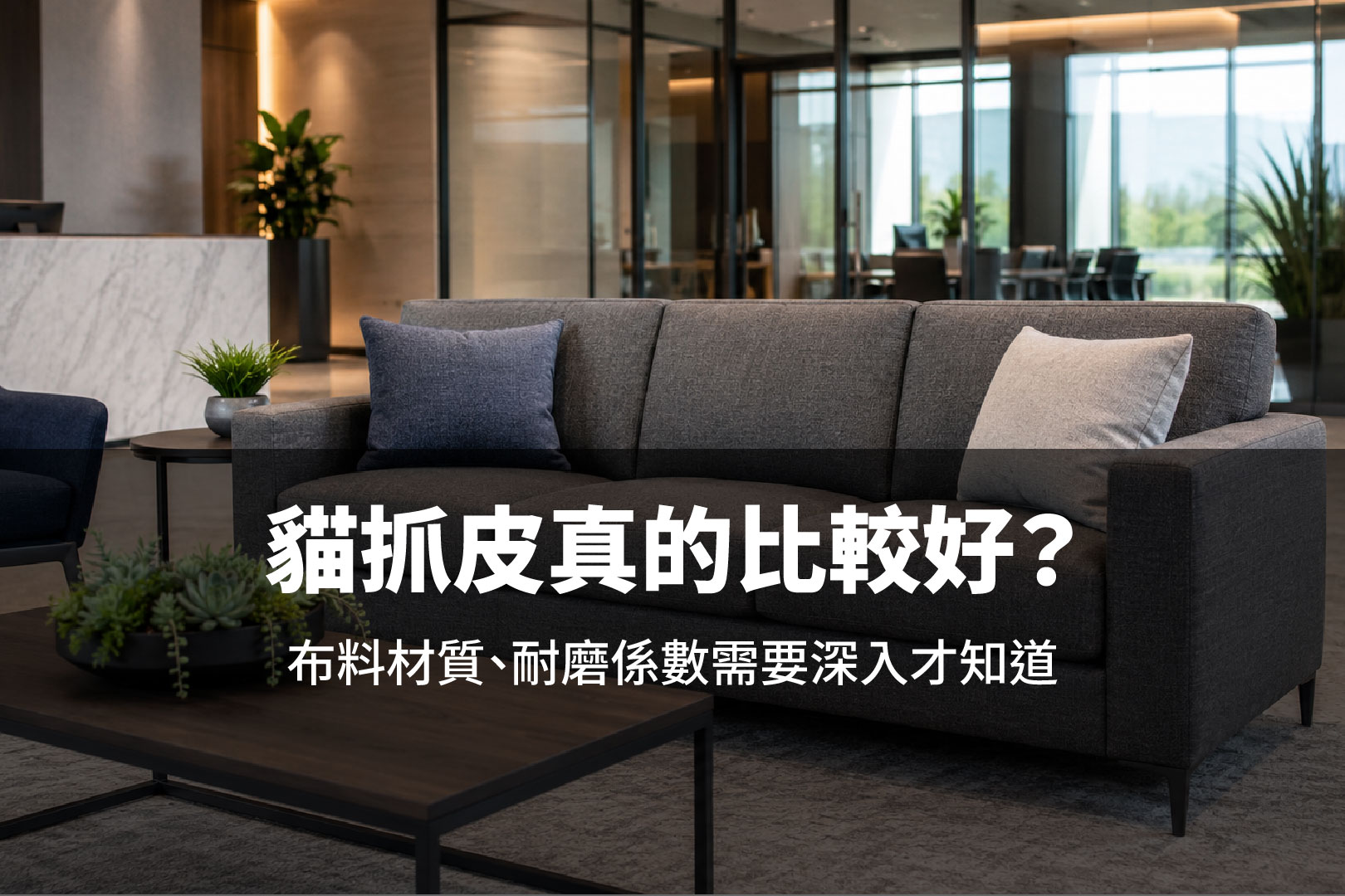 貓抓皮真的比較好？